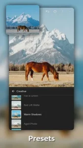 Adobe Lightroom 2