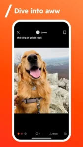 Reddit 2
