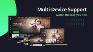 iQIYI 2