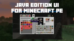 Minecraft Java Edition 2