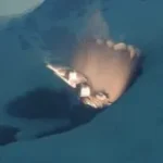 over the hill 3